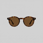 Men's Polarized Sunglasses