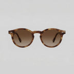 Men's Polarized Sunglasses